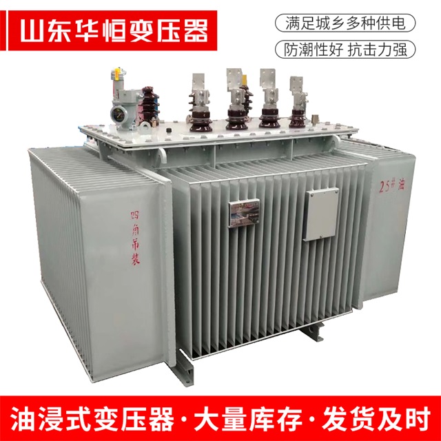 S13-10000/35泊头泊头泊头电力变压器厂家
