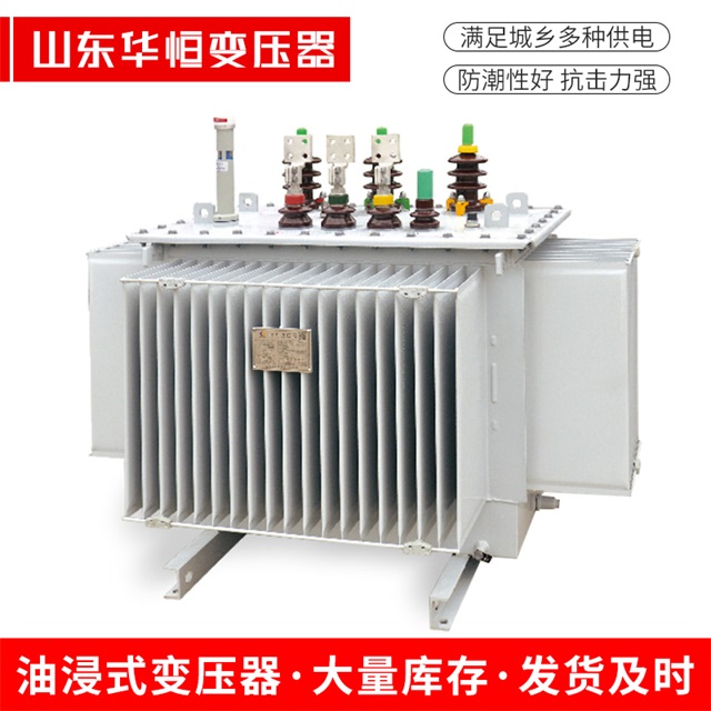S13-10000/35泊头泊头泊头电力变压器